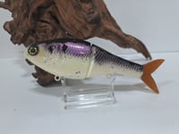 Image 7 of Sanger Custom Lures - Smooth 7 colorway #23