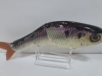 Image 6 of Sanger Custom Lures - Smooth 7 colorway #23