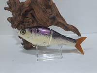 Image 1 of Sanger Custom Lures - Smooth 7 colorway #23