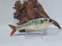 Image 1 of Sanger Custom Lures - Smooth 7 colorway #17