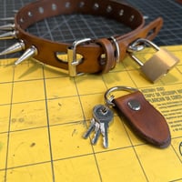 Image 2 of Spiked Locking Collar