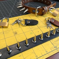 Image 4 of Spiked Locking Collar