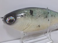 Image 2 of Crooked Tooth Custom Herring Glide #7