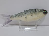 Image 3 of Crooked Tooth Custom Herring Glide #7