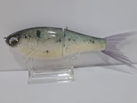 Image 4 of Crooked Tooth Custom Herring Glide #7