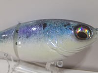 Image 4 of Crooked Tooth Custom Herring Glide #6