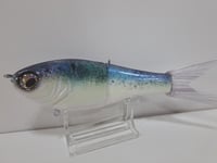 Image 6 of Crooked Tooth Custom Herring Glide #6