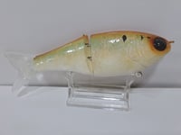 Image 4 of Crooked Tooth Custom Herring Glide #3