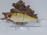 Image 1 of Crooked Tooth Custom Herring Glide #3