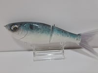 Image 3 of Crooked Tooth Custom Herring Glide #2