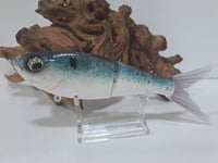 Image 1 of Crooked Tooth Custom Herring Glide #2