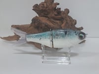Image 1 of Crooked Tooth Custom Herring Glide #1