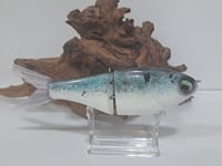 Image 6 of Crooked Tooth Custom Herring Glide #1