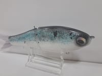 Image 2 of Crooked Tooth Custom Herring Glide #1