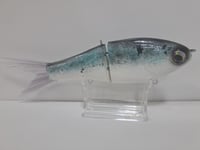 Image 3 of Crooked Tooth Custom Herring Glide #1