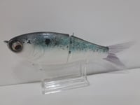 Image 5 of Crooked Tooth Custom Herring Glide #1