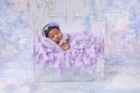 Image 22 of Fancy Shmancy - Girl 