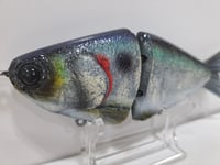 Image 4 of JC Glide Baits V-Notch colorway #40