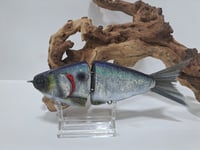 Image 1 of JC Glide Baits V-Notch colorway #40