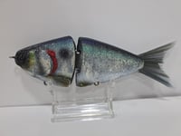 Image 5 of JC Glide Baits V-Notch colorway #40