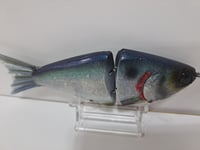 Image 6 of JC Glide Baits V-Notch colorway #40