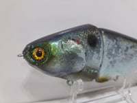 Image 2 of JC Glide Baits V-Notch colorway #37