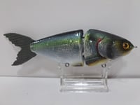 Image 3 of JC Glide Baits V-Notch colorway #62