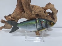 Image 1 of JC Glide Baits V-Notch colorway #62