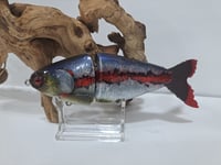 Image 1 of JC Glide Baits V-Notch colorway #46