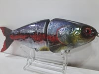 Image 5 of JC Glide Baits V-Notch colorway #46