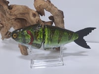Image 5 of JC Glide Baits V-Notch colorway #55