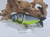 Image 6 of JC Glide Baits V-Notch colorway #53