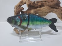 Image 5 of JC Glide Baits V-Notch colorway #39