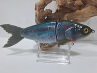 Image 5 of JC Glide Baits V-Notch colorway #42