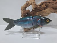 Image 1 of JC Glide Baits V-Notch colorway #42