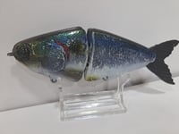 Image 5 of JC Glide Baits V-Notch colorway #41