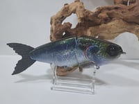 Image 6 of JC Glide Baits V-Notch colorway #41