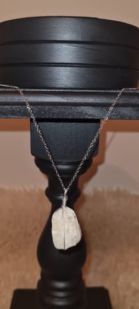 Image 3 of TOKATUAKANA Collection S