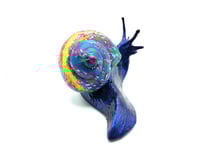 Image 5 of "Veronica"