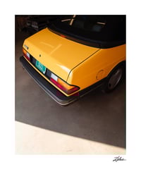 Image 1 of PRINT: MONTE CARLO YELLOW