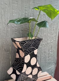 Image 2 of Monstera Deliciosa in Large B & W "Bettlejuice" Pot