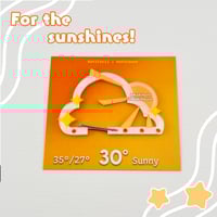 Image 4 of Weather Forecast Clouds Carabiners