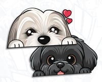 Image 1 of 夏 THE DOG ASIAN PARENTS ALWAYS HAVE