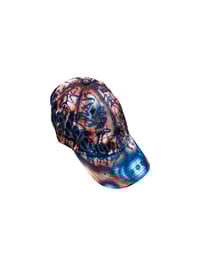 Image 1 of Dad Hat 02