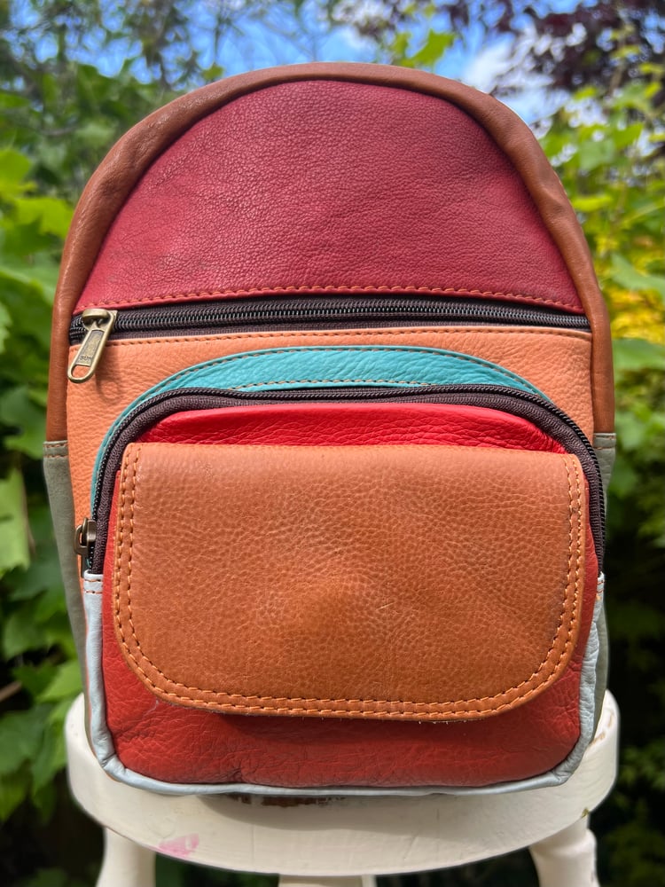 Image of Harlequin Collection - Buffalo Leather Small Backpack -  AA2A