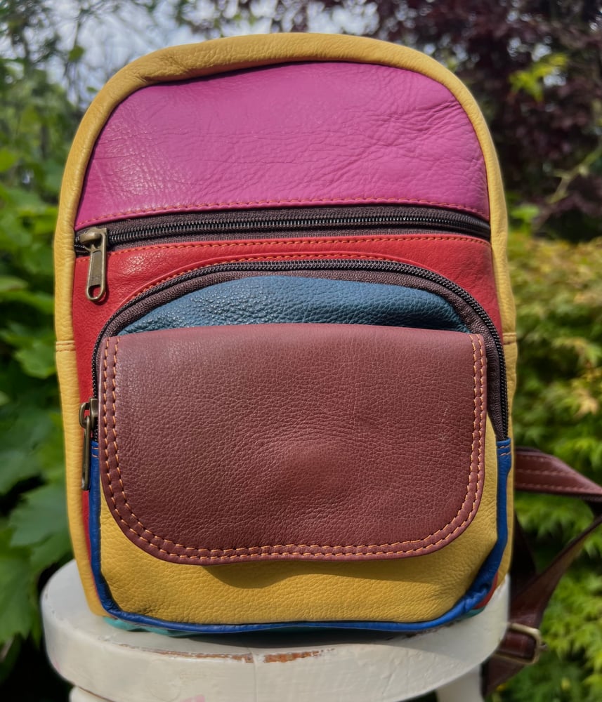 Image of Harlequin Collection - Buffalo Leather Small Backpack - AA2B
