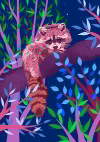 Image 1 of Le raton laveur