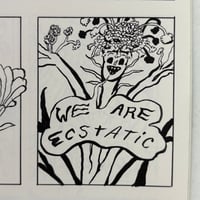 Image 5 of THE SHRIEKERS 2 by Molly Colleen O'Connell!