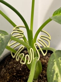 Image 6 of 🌿 Monstera Magic: Leafy Stem Holder 🌿Bring beauty and structure to your indoor jungle!
