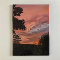 Image 1 of Sunset garden study